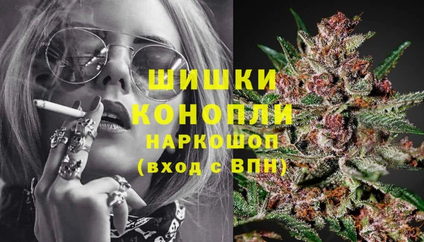 таблы Ельня