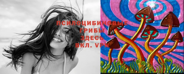 крисы Гвардейск