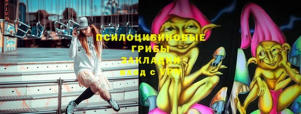 гидра Заволжье