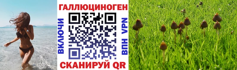 blacksprut рабочий сайт  нарко площадка официальный сайт  Псилоцибиновые грибы GOLDEN TEACHER  Каменногорск 